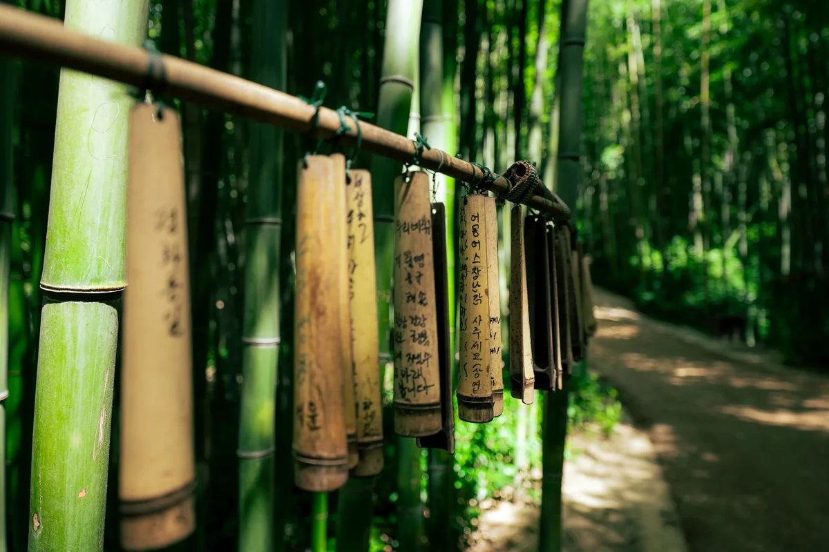 Damyang Bamboo Forest4