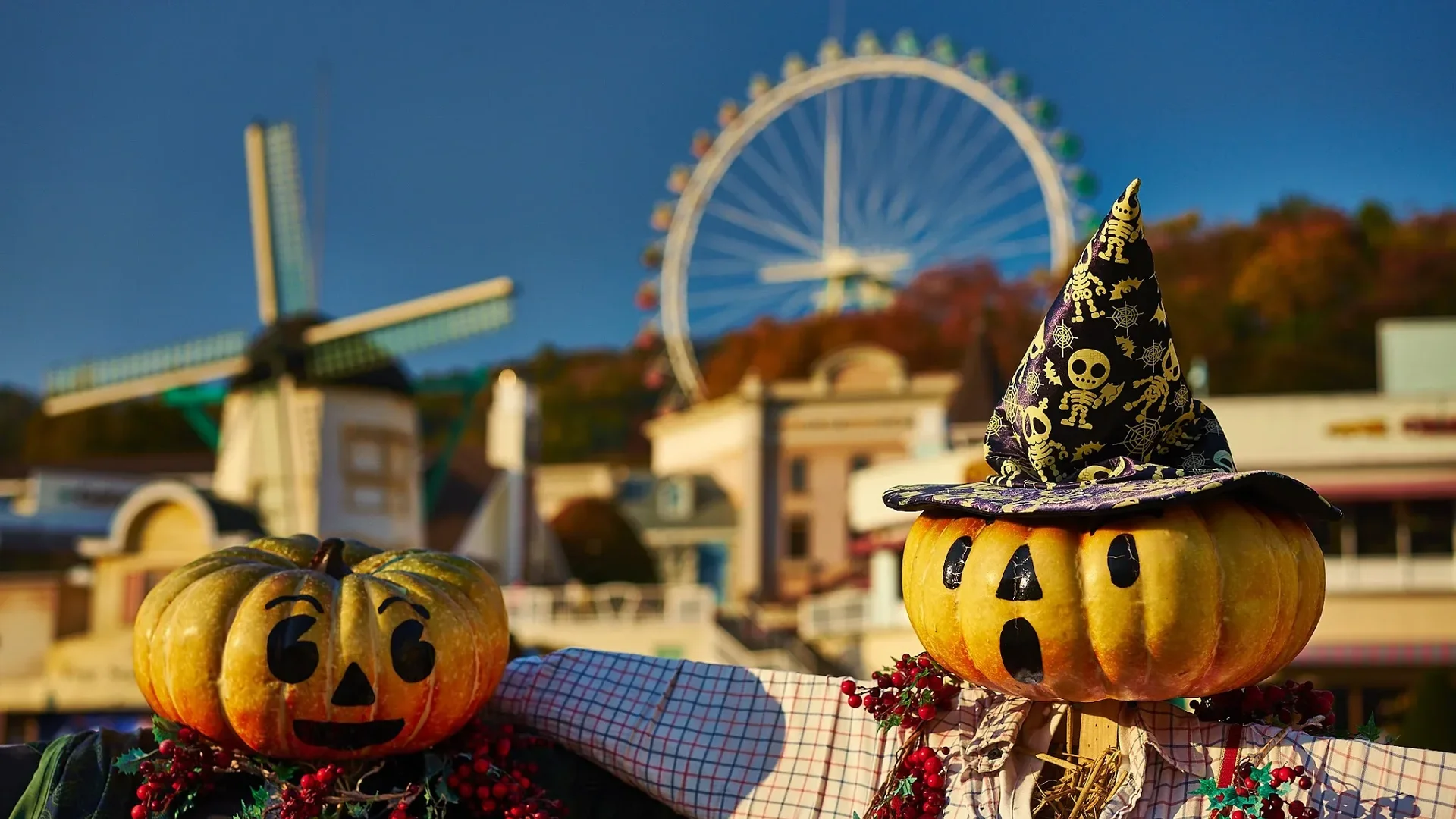 Everland Autumn182014
