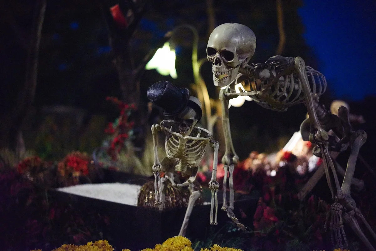 Everland Autumn382014