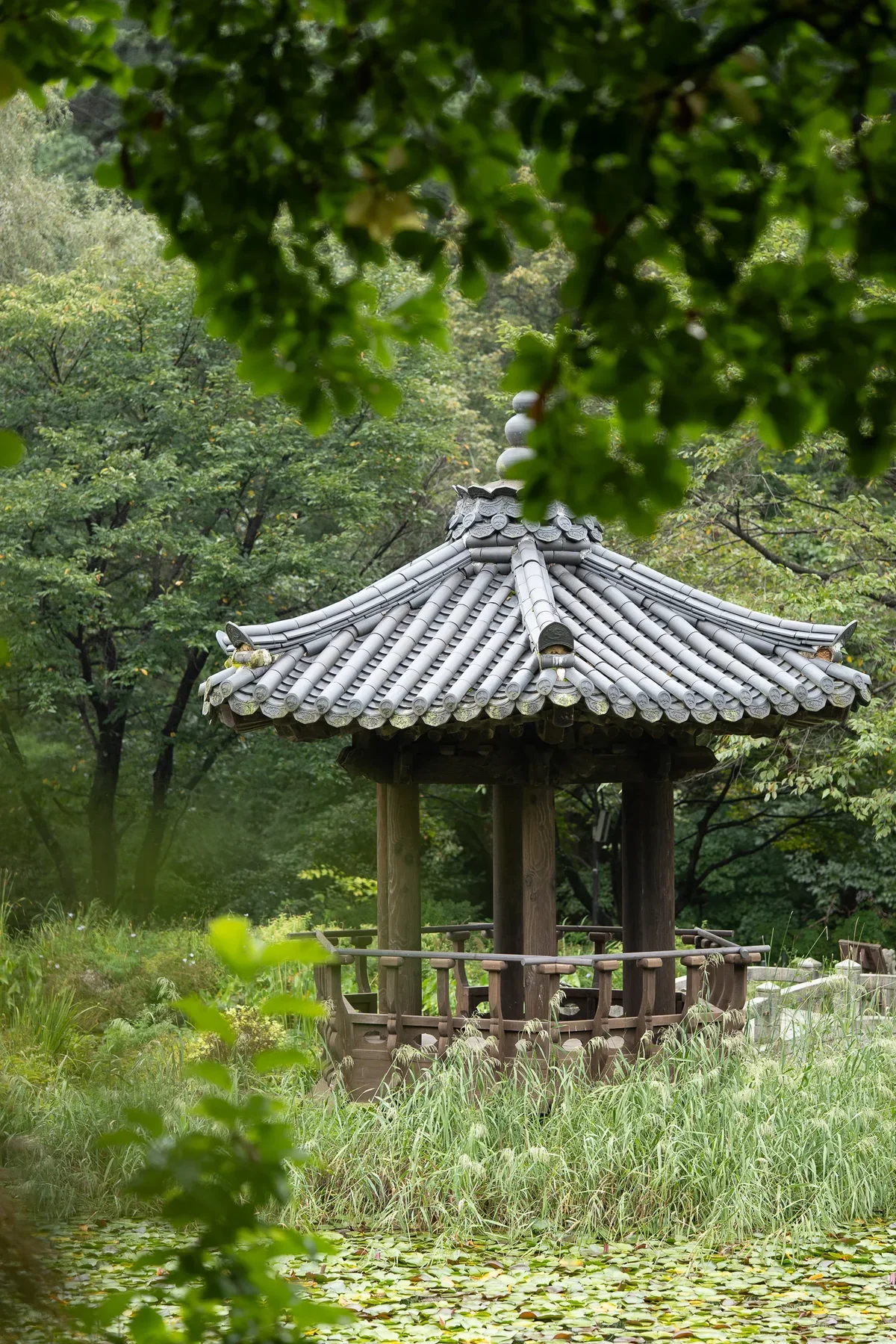 Garden Of Morning Calm4