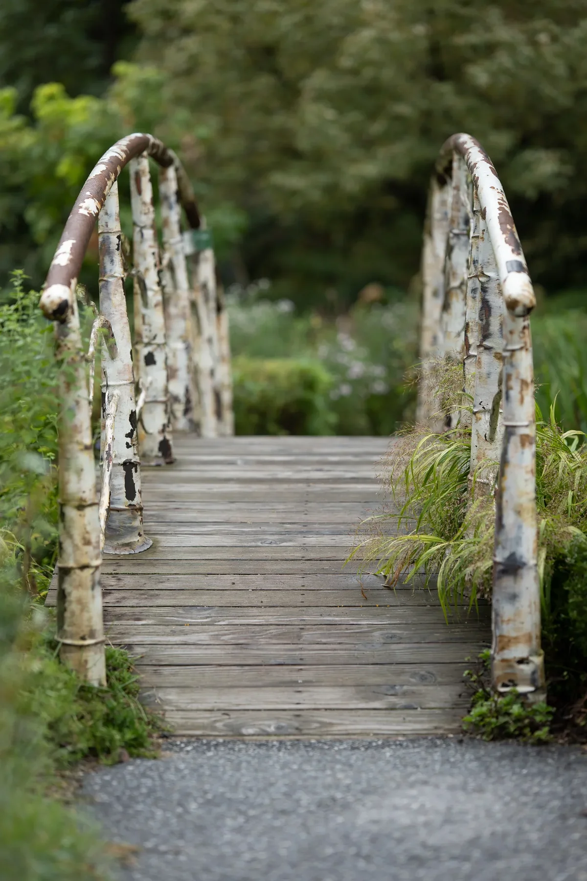 Garden Of Morning Calm9