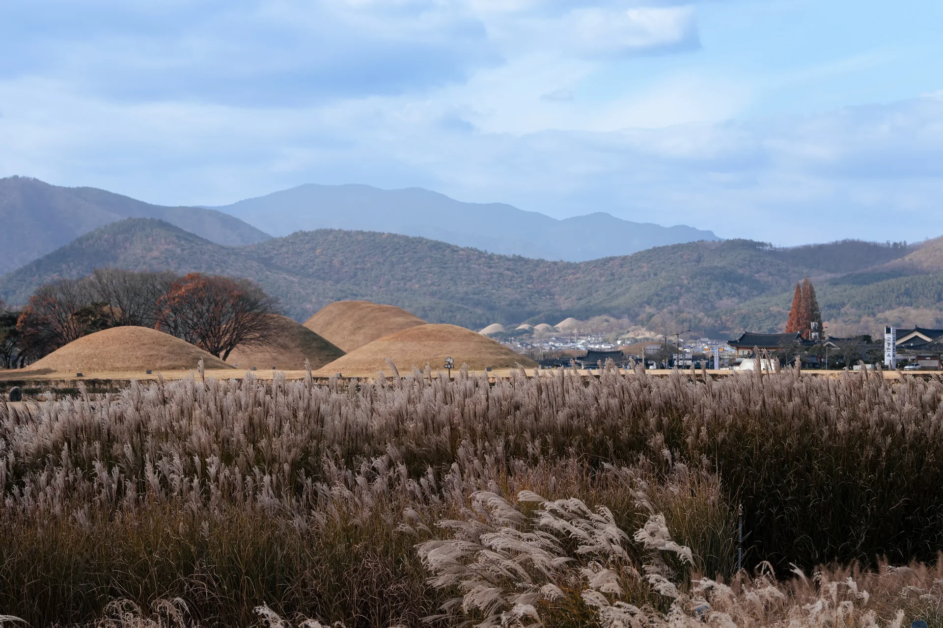 Gyungju Mounds 2
