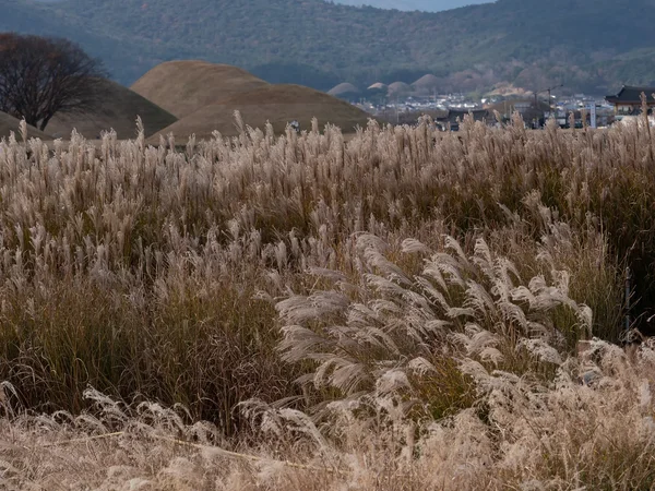 Gyungju Mounds 3