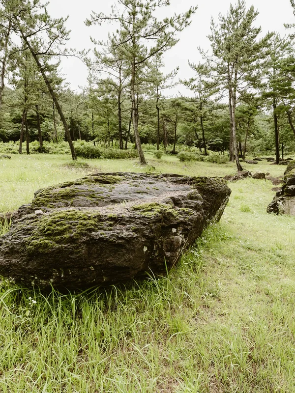 Hwasun Dolmens3