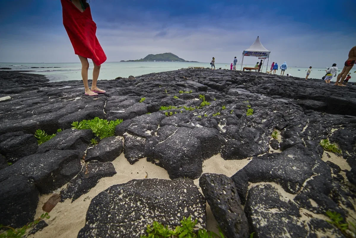 Kaz Jeju7 23 201554