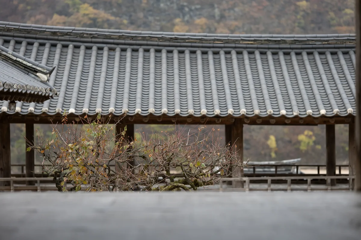 Byungsan Seowon Confusian Academy5