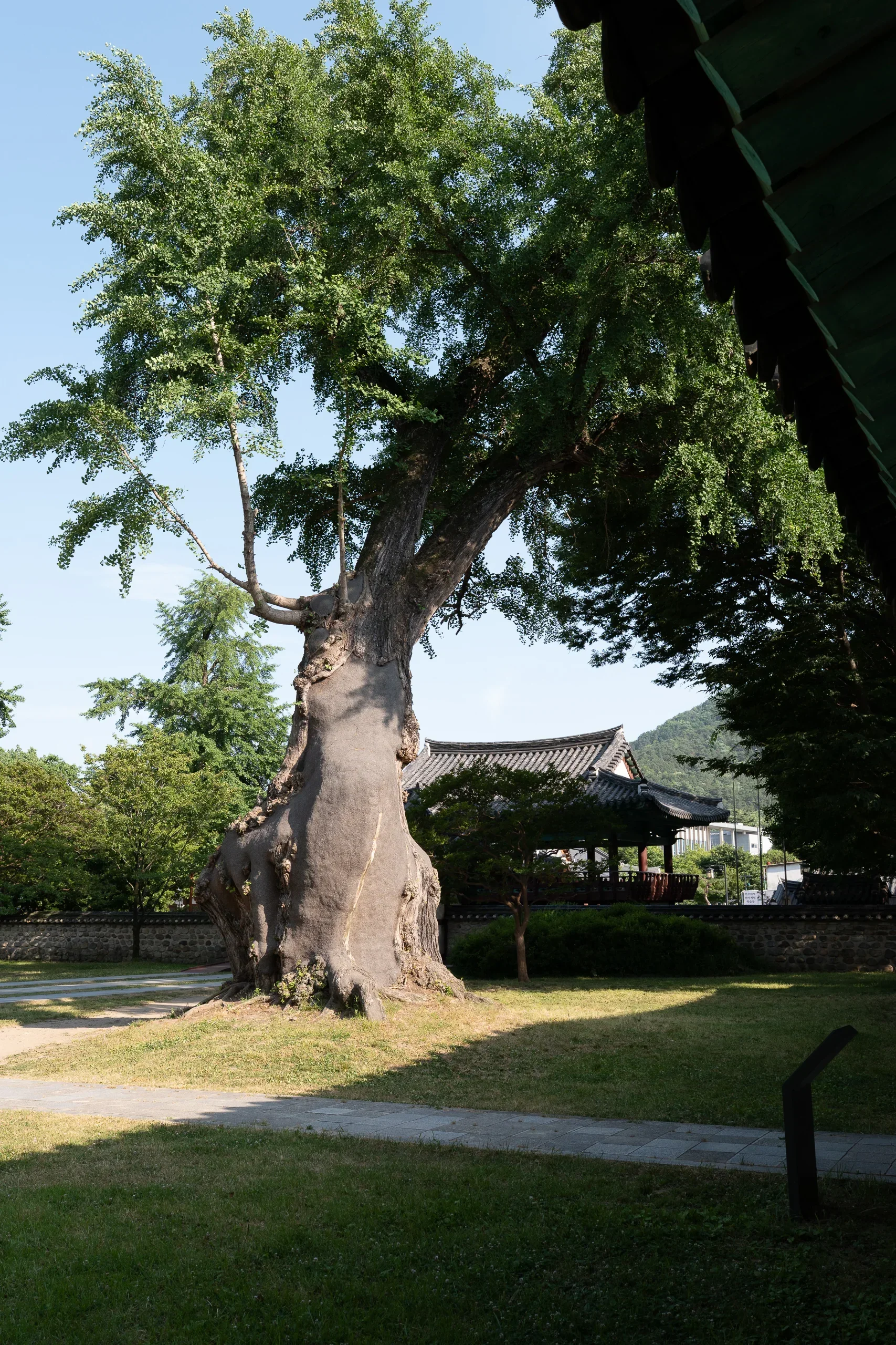 Jeonju Confusian Academy4