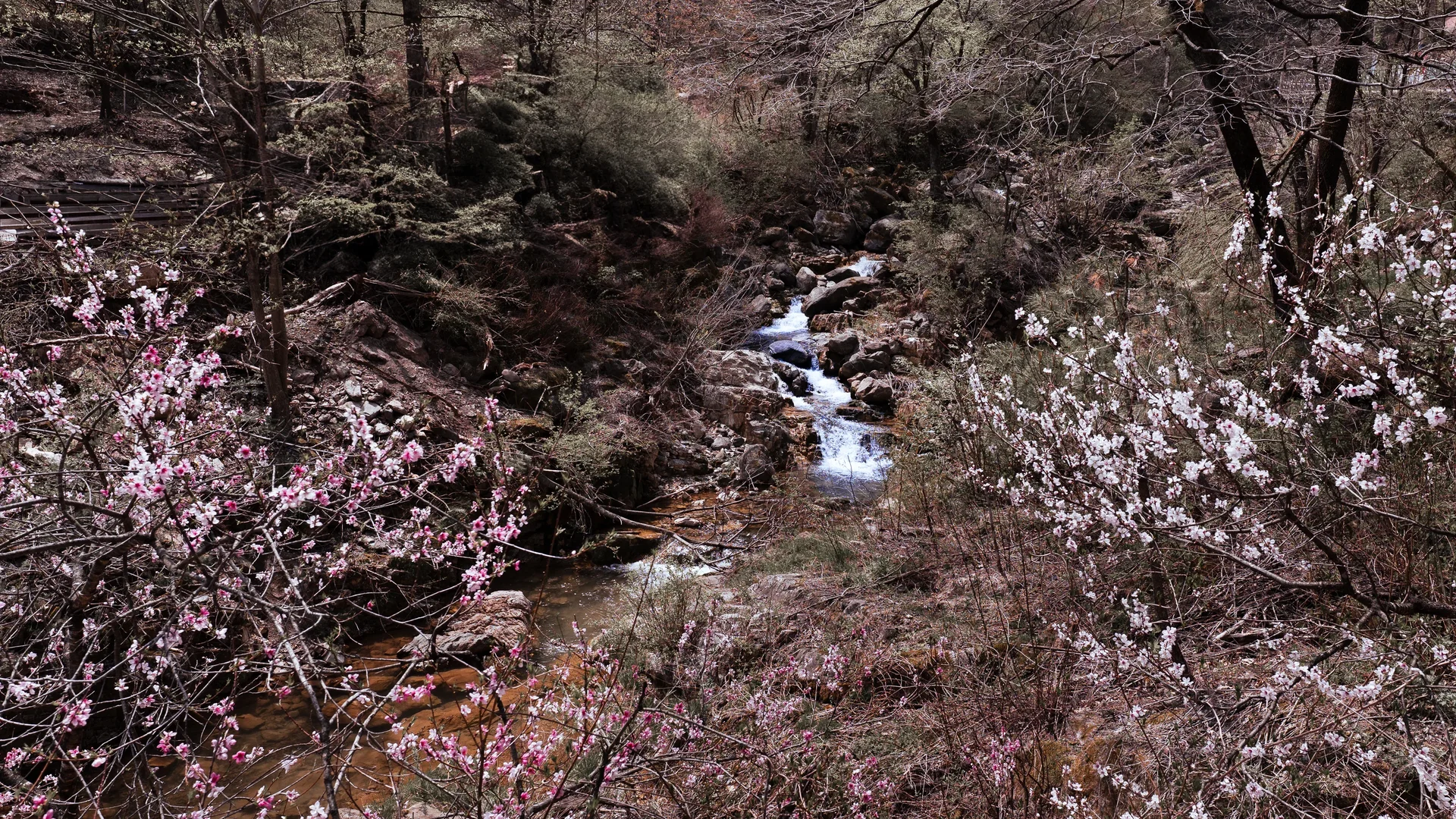Hwanseongul Cave16