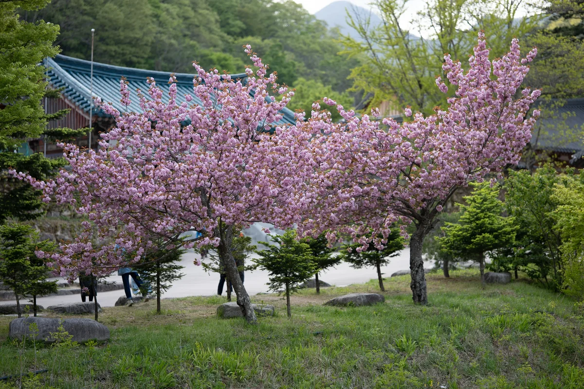Seoraksan National Park4