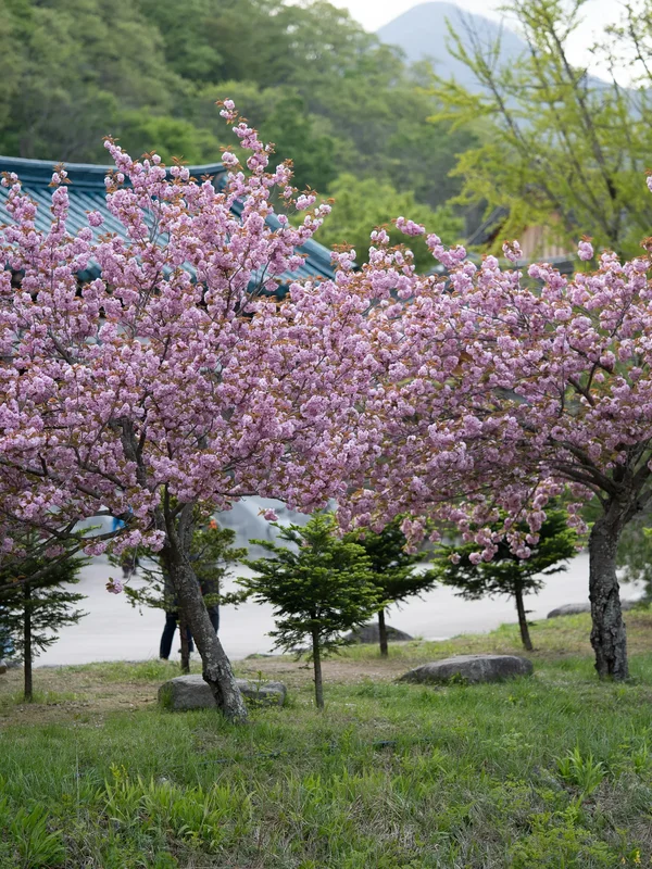 Seoraksan National Park4