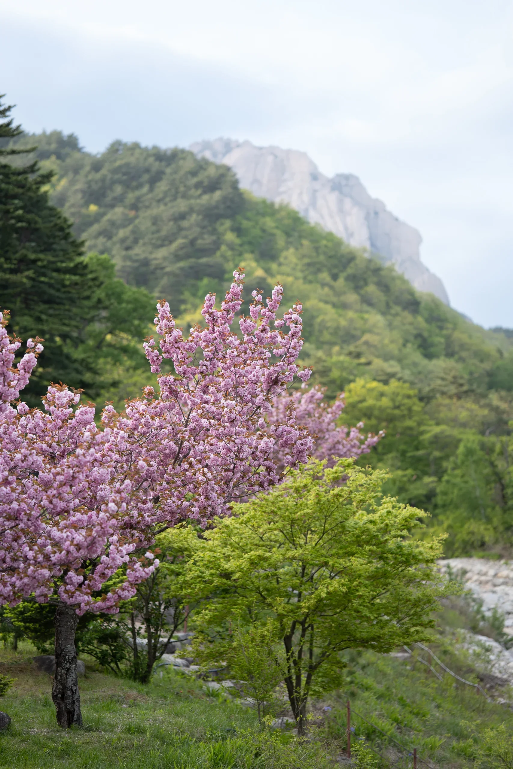 Seoraksan National Park5